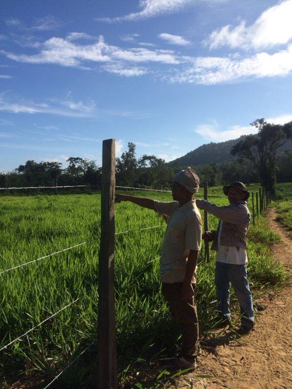 1012966_238272093010009_2223713978843790086_n