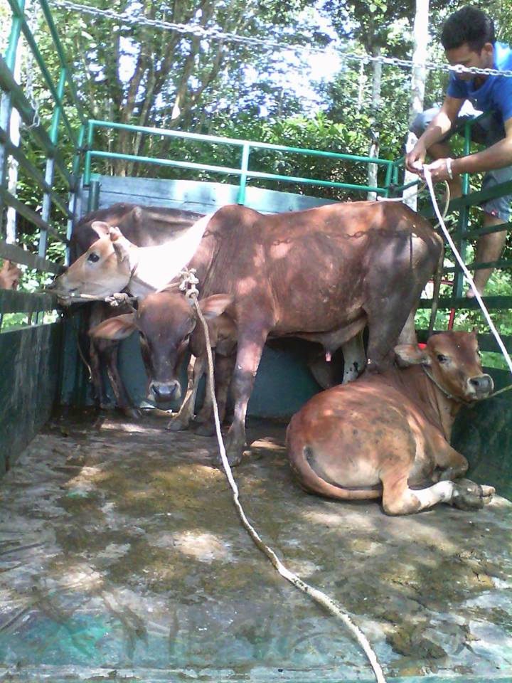 10173689_244941122343106_8238705168002225925_n