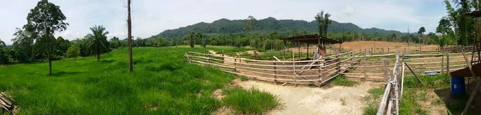 10342776_310726642431220_1942461875769131777_n