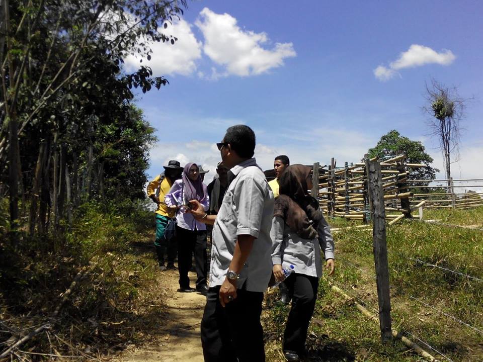 11041832_265557826948102_1190849304208190016_n