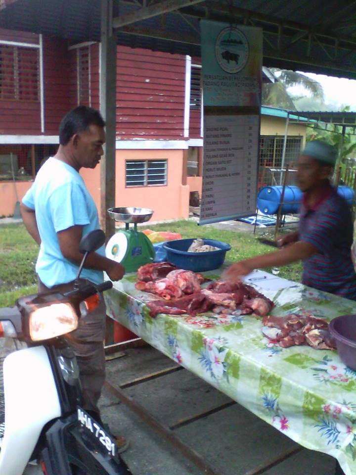 11136735_288054481365103_8085396852159067856_n