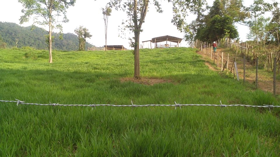 11391362_306950406142177_6623067578574323706_n