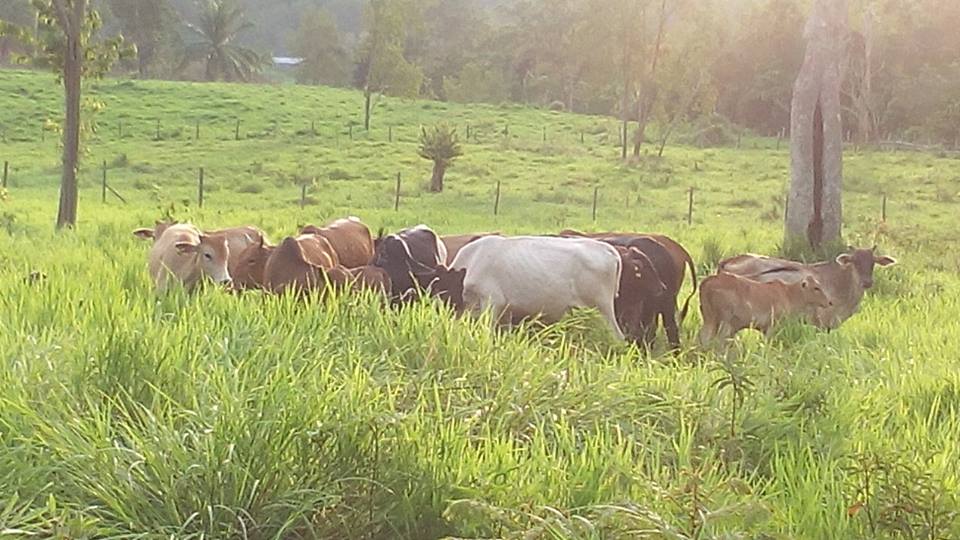 11401099_306950682808816_8933210195340075631_n