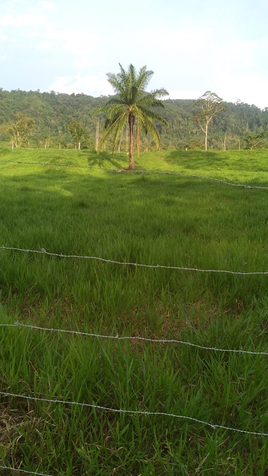 11412187_306950356142182_1143507007100523290_n