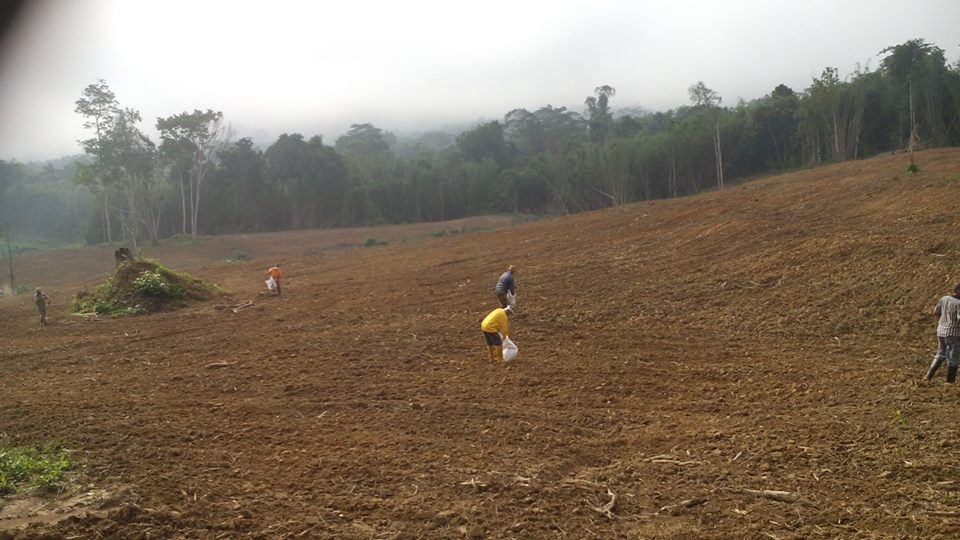 11695904_317096008460950_4792627407464798103_n