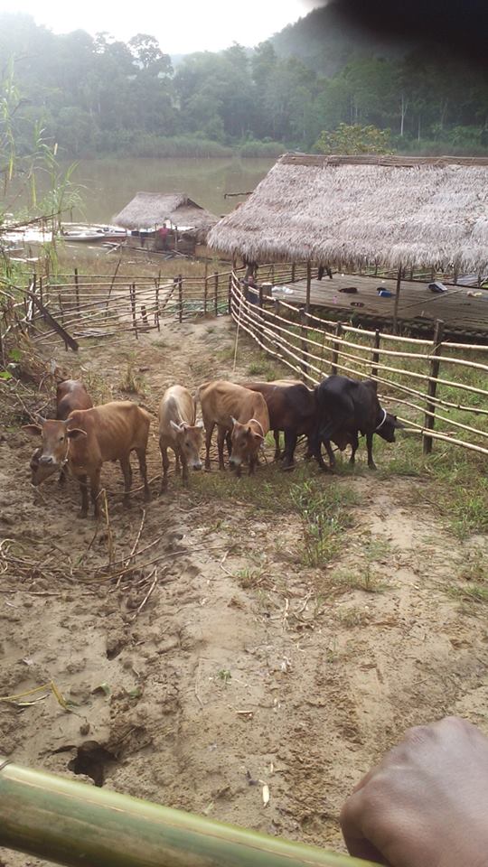 12003921_348105458693338_7629392772039447804_n