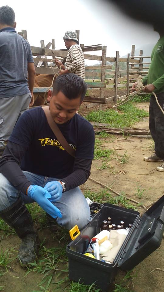 12119037_350826775087873_8587427584960426251_n