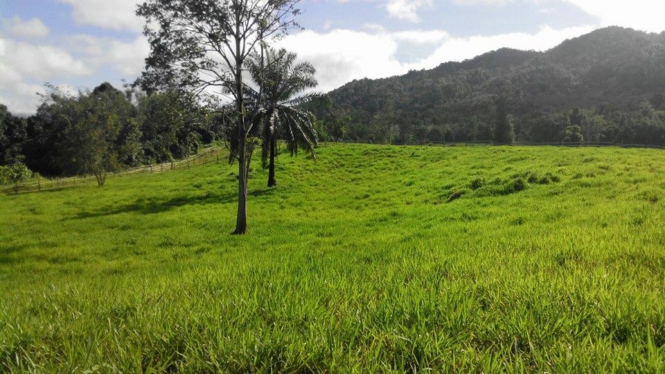 12246782_361583307345553_5108569613919033090_n